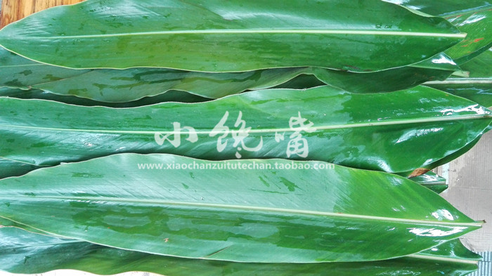 Fresh leaves of leafy leaves 10 Zhang to make Sichuan Yibin Terrific pig and duck and duck with leaves of Liangjiang Leaf