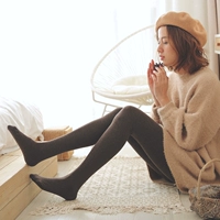 Lông nhung ấm JA cotton vàng 800D cộng với nhung nhung mùa thu và mùa đông của phụ nữ chạm đáy tất vớ bếp màu xám đen tất quần