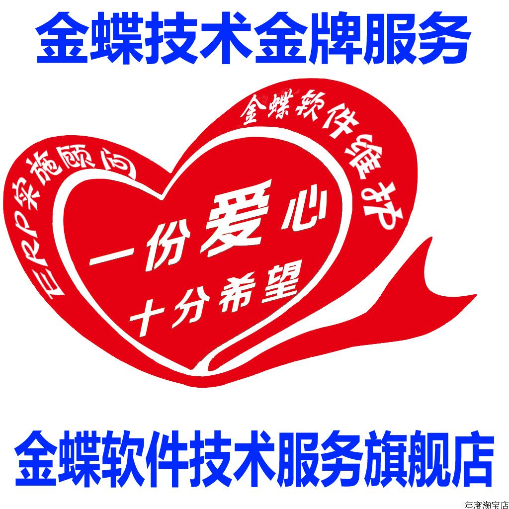 KIS software maintenance technical problem solves ERP information service remote support professional technical consultation