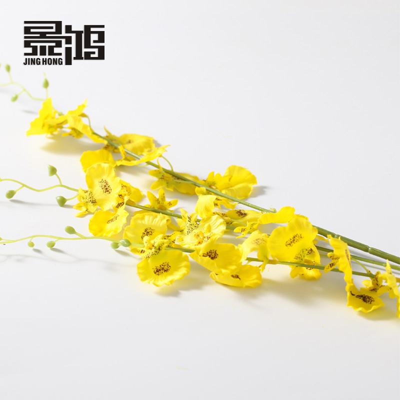 �������������滨