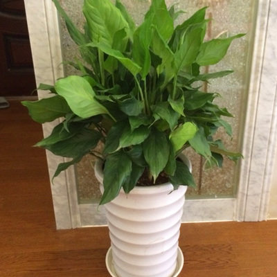 �Ӻ�Ե����