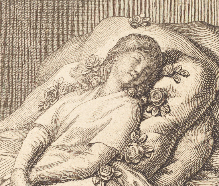 K036 (Germany) Chudowik Daniel Nikolaus Chodowiecki prints the pictured library