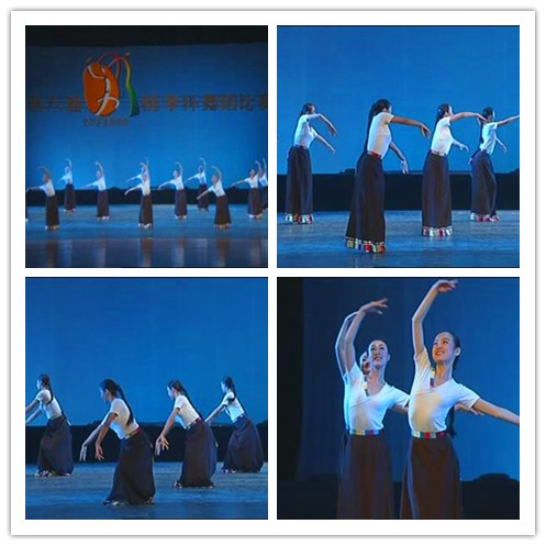 School of study Tibetan Dance Practice Skirt Tibetan Dancing Skirt Dance Practice Dress Rehearsing Dress Dancing Performance Dress