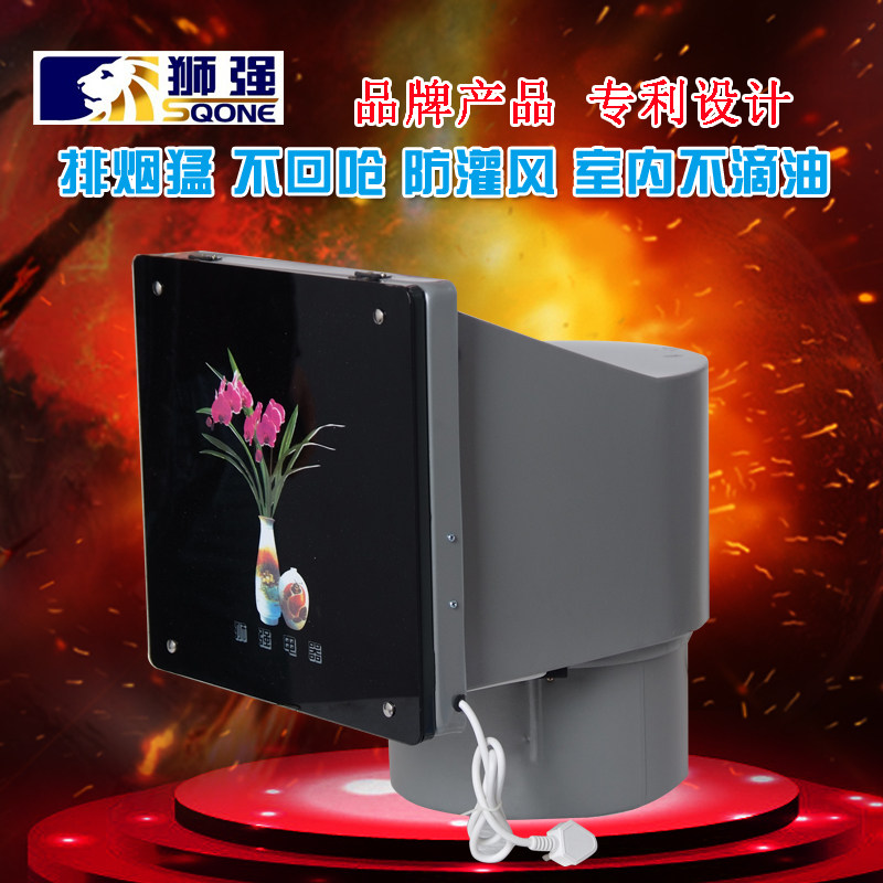 Lion strong kitchen exhaust fan with 10 inch silent window type new S605A