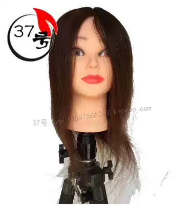 8816 true hair teaching head model head bleaching and dyeing hot blowing shear