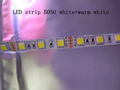 LED two-color 5050 natural white 12V bare board light with 5630 White warm white dimming light bar 300 beads 5 m