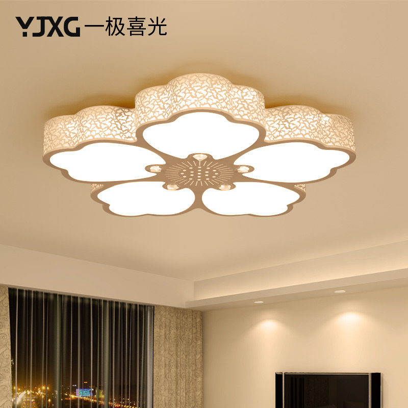 һ��ϲ���ִ���Լled������yjxg-0591