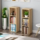 Đặc biệt cung cấp kệ sách kệ sách tủ sách CD kệ lưu trữ tủ phòng tắm tủ bên tủ lưu trữ tủ ban công tủ góc tủ - Kệ