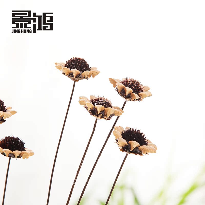 ���趹��/װ��������ٻ�