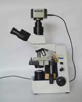 Scientific research Olympus CX31 biological microscope 6 million pixels Sony CCD1 inch full-frame camera