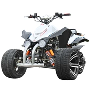 Đường xe máy ba bánh phần đường đua xe máy ATV xe máy thể thao tự động hộp số vô cấp thay đổi tốc độ