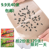 40 pieces of sticky fly paper fly paste super strong sticky fly ribbon home Fly fly fly fly fly fly fly fly fly fly fly fly fly fly fly paper stick