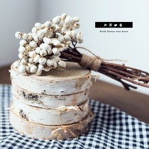 North Flower Xishe real flower Dried flower bouquet flower arrangement Natural dried fruit Small white fruit decorative ornaments Food shooting road