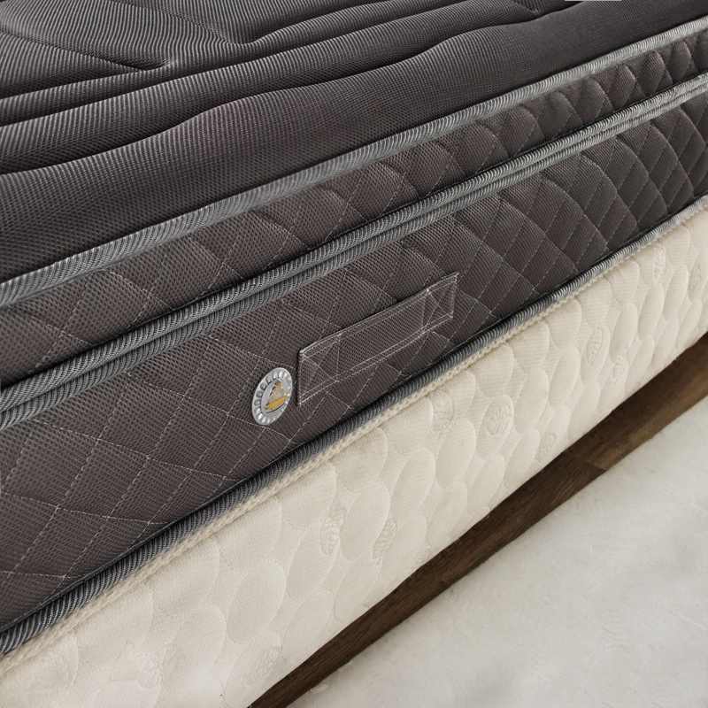 ��������3d���������8845B