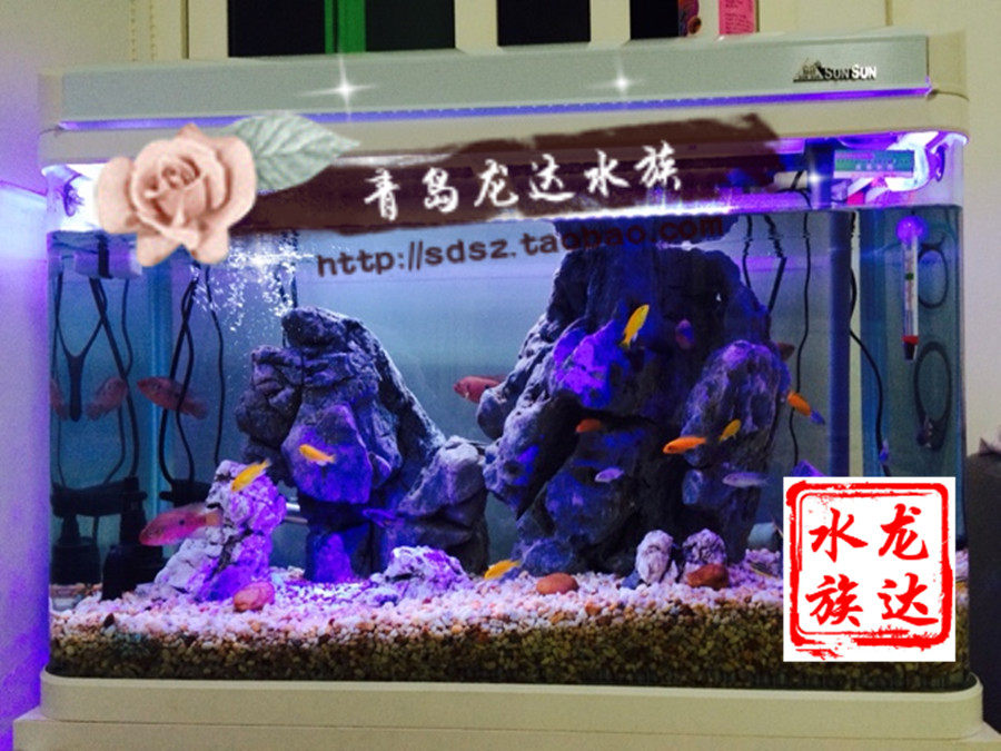 Senson HR1000I aquarium HR-1000I 1 m long 35cm wide fish tank with water pump lighting tube