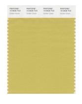 Pantone Pantone Color Card Pantone Flagship Store Clothing Home 15-0146 to 15-0703TCX Cotton Version Single Color Card