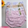 5 túi Ying Kang new lady cao eo cotton màu sợi đồ lót cỡ lớn tam giác boxer quần short đầu 1113 quần lót tập gym