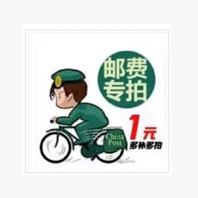 Supplementary price difference 1 Yuan supplement shipping cost How much to compensate for the difference and a special super-connection for product completa