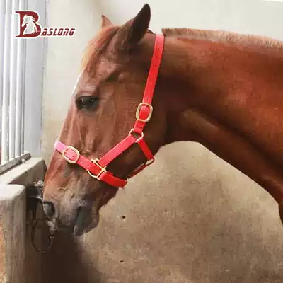 Equestrian Phalter Head Red PVC Horses Horse Equipped with Eight-Dragons Horses BCL328203