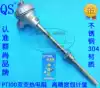 WZP2-230 WZP2-231 Double PT100 platinum thermal resistance sensor fixed thread thermocouple