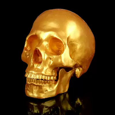 Gold head medical resin skull bone bar human skull model largest eye-catching refreshing display alert