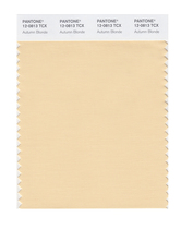 Pantone Pantone Color Card Pantone Official Flagship Store Clothing Home 12-0813 to 12-1108TCX Cotton Version Single Color Card