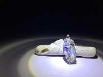 Out (Back to that time No 126) JOs Winding Art Himalayan Kyanite Pendant lone product