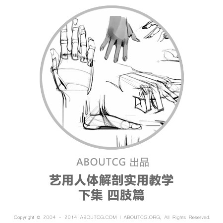 AboutCG Art Human anatomy Practical tutorial Next Limbs Painting tutorial Human body structure