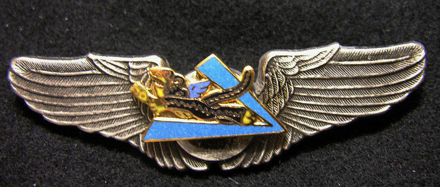 Plated with ancient silver true enamel Air Force Memorial Wing 30 Flying Tigers