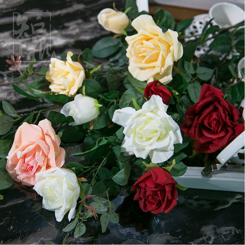 ֪������õ�廨mg-017