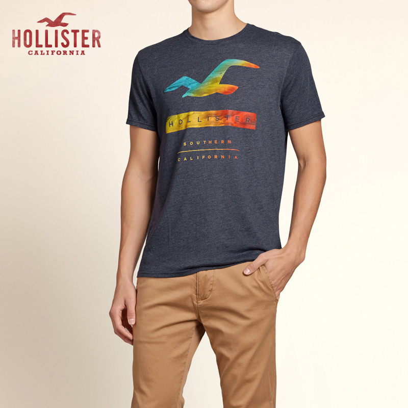 Hollister 徽标图案 T 恤 男 101945