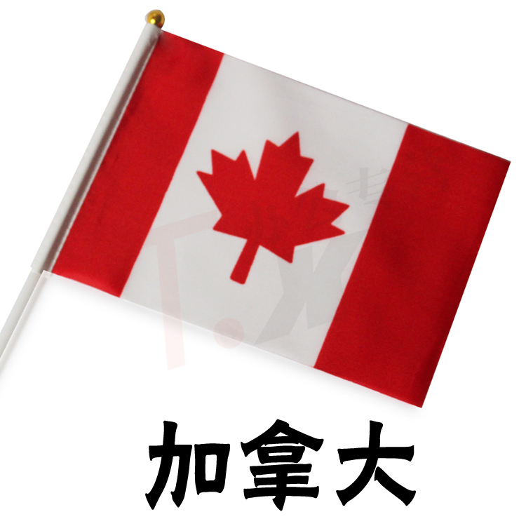 No. 8 14*21CM Canadian Hand Flag Hand Waving Canadian Flag Small Flags of Various Countries Waving Flags Foreign Flags