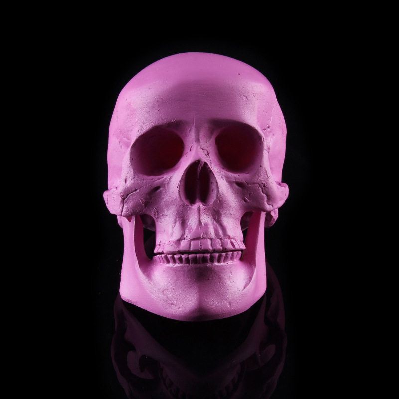 Purple Trumpet Skull Skull Model Pendulum Piece Medical Skull Personality Skull Skull Purple Pink DIY Foreign Trade