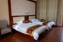 Deluxe air-conditioned twin room