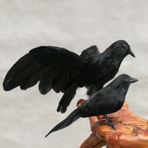  Halloween props Feather crow ghost festival supplies Party drama TV movie shooting props Feather bird