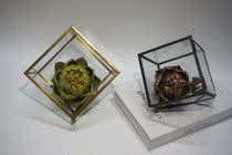 Succulent plant glass flower room Rubiks cube flower Moss micro landscape immortal flower box