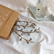 Nordic wind ins Eucalyptus Natural dried flower real flower home decoration Taobao still life shooting props new products