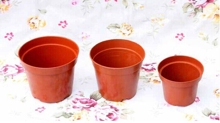 Classic garden plant flower pot plant plant plant plant plant plant plant 8 - 18 cm different model caliber clearing special offer
