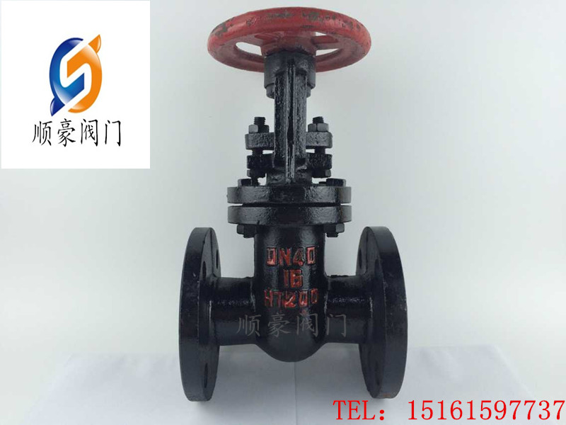 Direct sales Z41T-1016 cast iron Ming rod flange gate valve wedge gate valve hydraulic gate valve engineering gate valve
