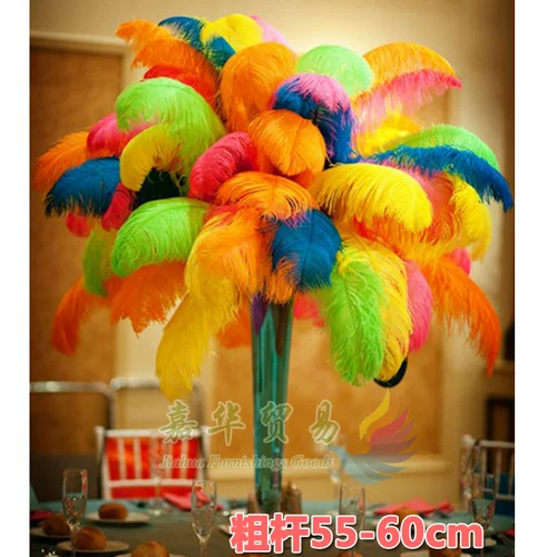 55-60 см. Широкий штурм Широп Струйт Перо карнавальный карнавальный карнавал танцевальный танце