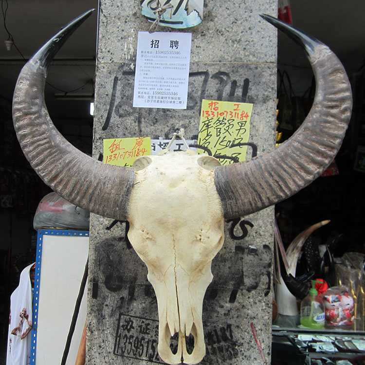 Natural buffalo skull craft gift decoration Bar decoration Big bull head gift treasure wall hanging town house