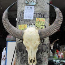 Terre Pure Buffalo Skull Handicraft Bar Adornment Big Bull Head Gift Treasures Wall-mounted Town House