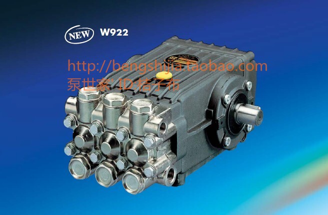 Italy Inter Interpump high pressure piston pump W201