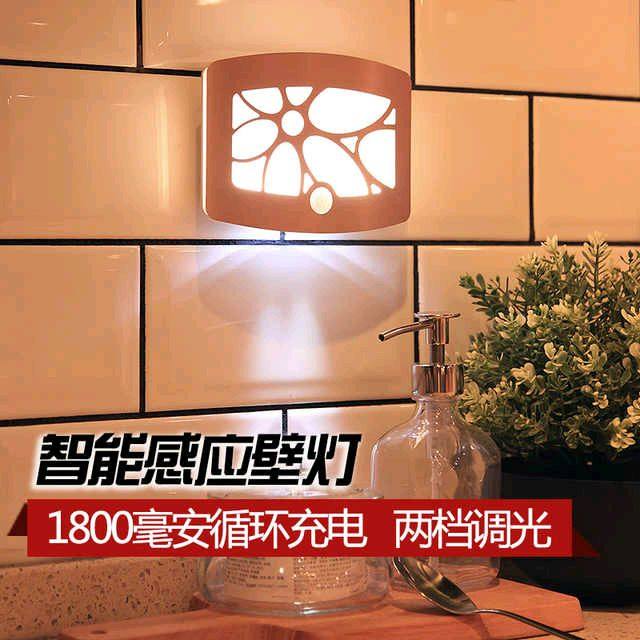 �ǳ������������ܸ�Ӧ��WS01