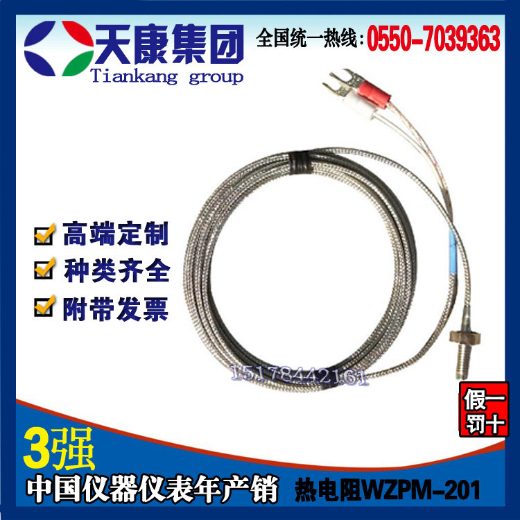 Anhui Tiankang Group Sheathed Hot Couple WRET-01 Screws Thermal Resistance PT100 Thermal Resistance Customizable 