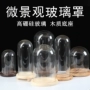 Sáng tạo vi cảnh hoa vĩnh cửu 3d mặt nạ thủy tinh che nhà trang trí thủ công đồ trang trí bụi che DIY trang trí nhà cửa