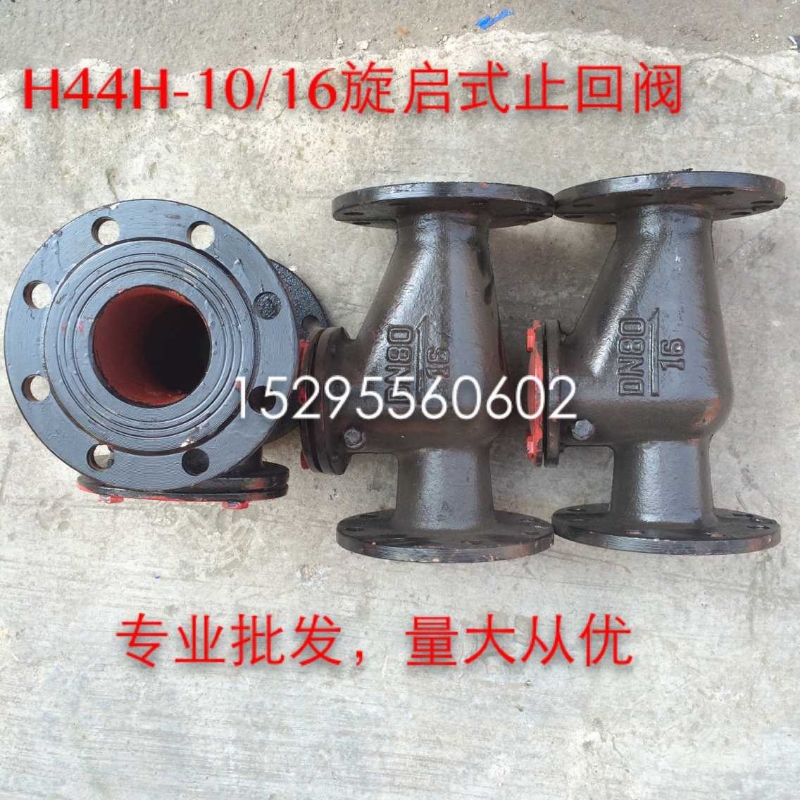 Cast iron flanged check valve H44T-10 16 check valve Swing check valve DN50 65 80 100