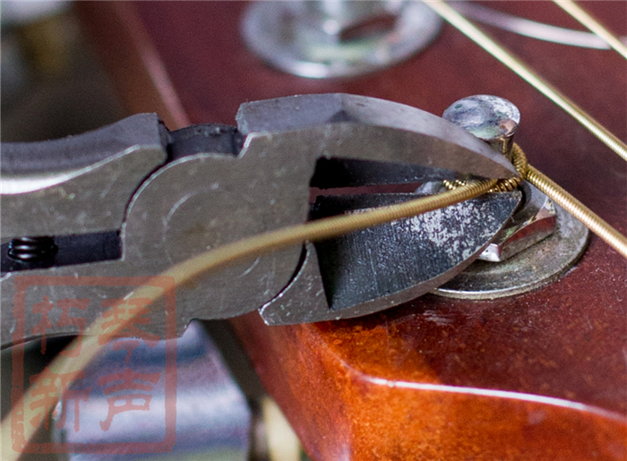 Guitar String Cutters String Cutters String Cutters String Cutters String Cutters String Cutters String Cutters String Cutters String Cutters String Cutters String Cutters String Cutters String Cutters String Cutters String Cutters String Cutters