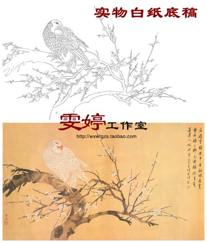 Chen Zhifoo high-definition stroke white sketch manuscript-Wang's Wind Fan Old Eagle Animal Painting Country Painting
