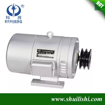 2000W supply brushless Silicon Rectifier 24-36V DC marine generator (Factory Direct) with regulator